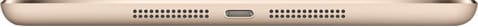 Bottom edge of iPhone showing speaker grilles on either side of centered charging port