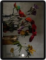 Apple iPad Pro 11 (2021)