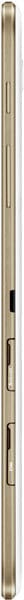 Wooden cue stick with dark band near the tip, shown vertically