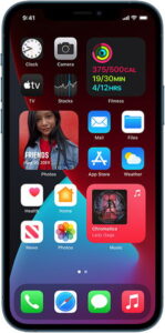Apple iPhone 12 Pro Max