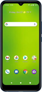 Cricket Icon 3