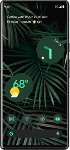 Google Pixel 6 Pro