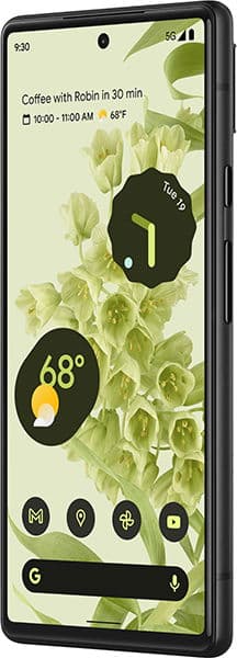 Google Pixel 6 front view with display showing time, weather, calendar event, and home screen widgets among green floral background