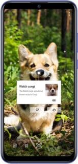 Huawei P Smart+ (2019)