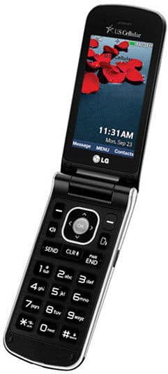 LG Wine III flip phone open, displaying red rose wallpaper on screen with time 11:31 AM and keypad visible below
