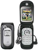 Motorola v361