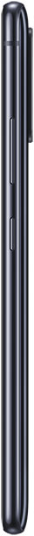 Samsung Galaxy S10 Lite, rear view, black finish, showing elongated body and camera placement along spine
