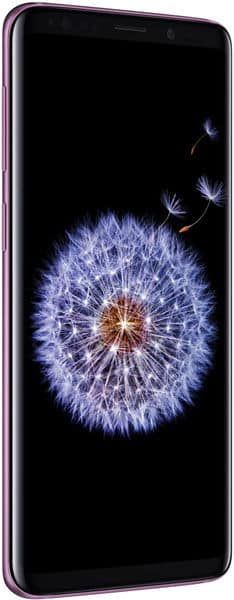 Front view of Samsung Galaxy S9 with black screen showing dandelion image, slim purple frame, and rounded edges.