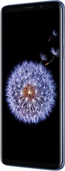 Samsung Galaxy S9+ front view with dandelion wallpaper on screen