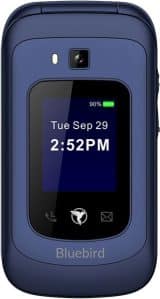 Sunbeam F1 Horizon Phone Bluebird