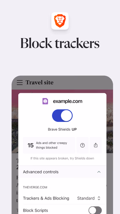 Brave browser's tracker blocking interface showing example. Com with brave shields enabled, 15 ads blocked, and advanced controls for trackers and scripts
